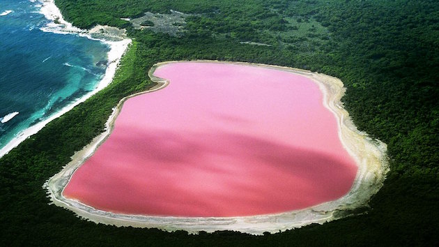 Hiller-lake-pink-Western-Australia