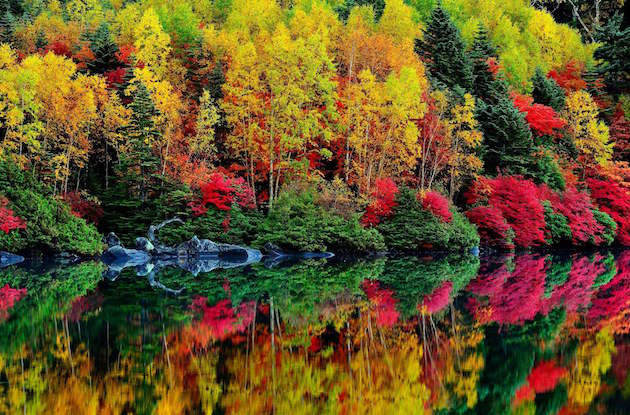 Amazing-Mirror-Lake-HD-Wallpapers